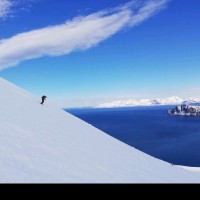 Martin Krajnak, PhD.