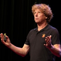 Maurits Koster