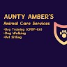 Amber Jointer