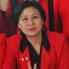 Mieke M H
