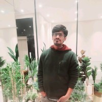 Yogendra Pal