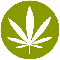 Hemp Oil Store