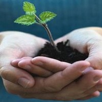 Touchstone Counseling