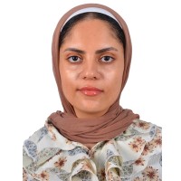 Alaa Lasheen