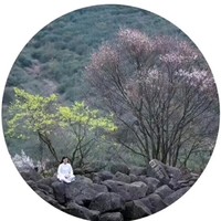 刘明春