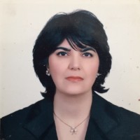 Hasti Atashi Shirazi