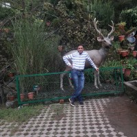 Raj kumar Arora