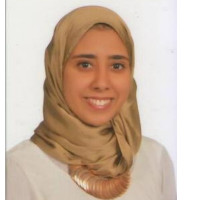 Ekram Elsisi