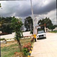 Anitha Tr