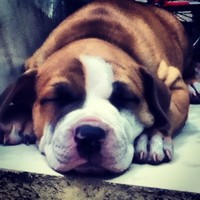 Cristian  Daniel Herrera C