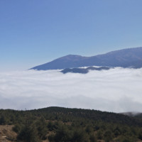 毛玉峰