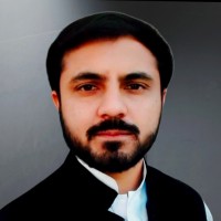 Muhammad Majid Ali