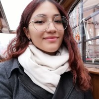 Nicole Irina Pinto Pasco