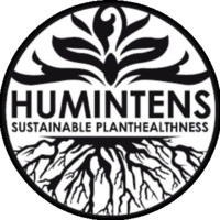 Office Humintens