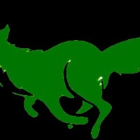 FOXBase Technologies P Limited