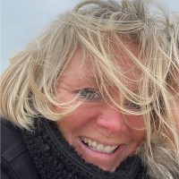 Ann- Steinmann