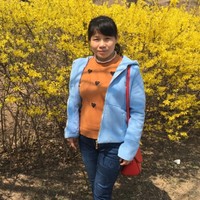 王瑞霞