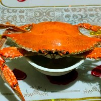 王照明