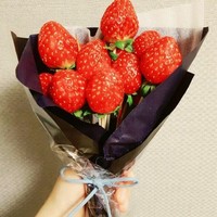 莫丽研