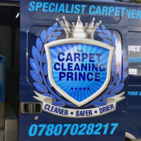 steve “Carpet