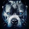 Йордан Костадинов