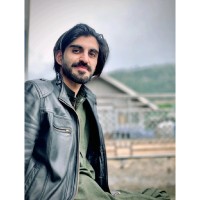 Haidi Ali