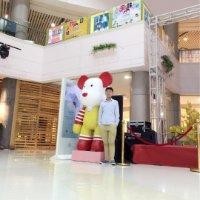 徐靖靖