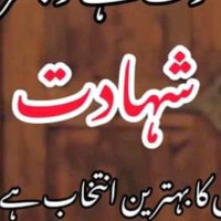 Ubaid Mughal