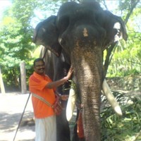 Rajesh Kumar