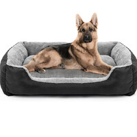 petitude store