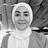 Malak A. Suleiman