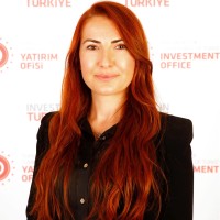 Aylin Ayasun