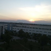 王晓东
