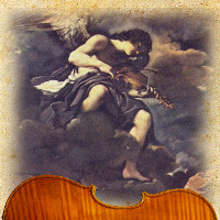 marcello morrone luthier