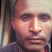Hailegebri'el Assefa