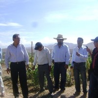 Agustin Romero Estuco