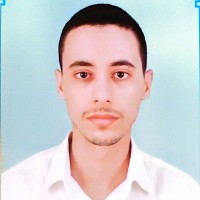 kandil mohammed amine