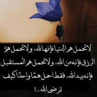 Noor Ashrf