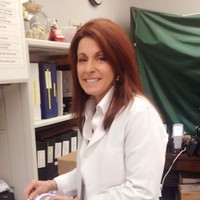 Donna Sidoti
