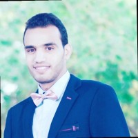 Amr Bahaa