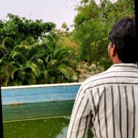 S. K. Reddy