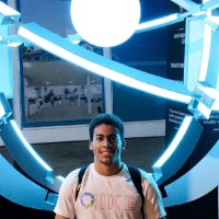 Luis Arthur Rodrigues Da Silva