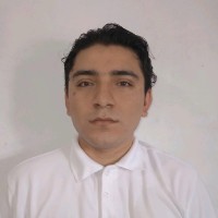 Alexis Armando Castro Sachez