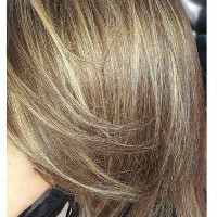 Mimisat Samodammimisatt