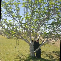 Rim Jemli