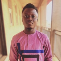 David Igbayilola