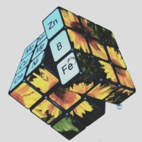 Quantum Fertilizers Administrator Office