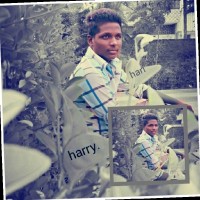 Hari Haran