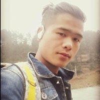 龙明星