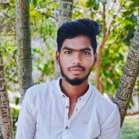 Veera Narasimha.S